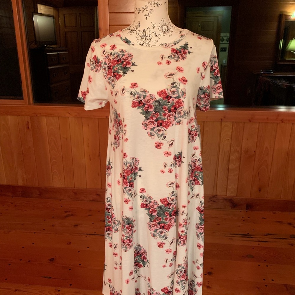 LuLaRoe Carly Dress